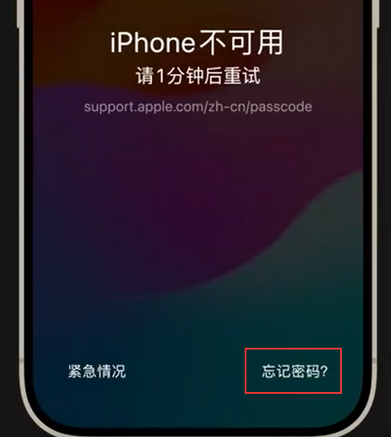 浦江苹果手机密码维修分享iPhone忘记了刚设置的密码 