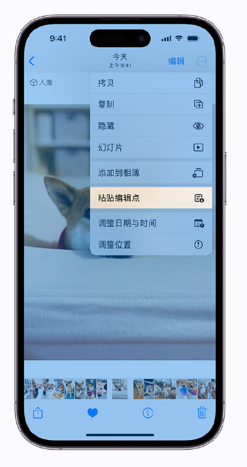 浦江苹果手机维修分享iOS 16 小技巧 