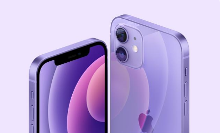 浦江苹果手机维修分享紫色版iPhone 12有什么技术亮点 