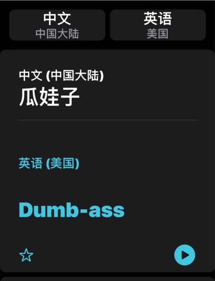 浦江苹果手机维修分享iOS14的“翻译太懂了”怎么用 